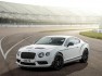 Bentley Continental GT3-R limited edition 14