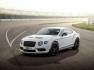 Bentley Continental GT3-R limited edition 18