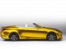 Lexus LF-C2 concept 4