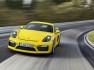 2015 Porsche Cayman GT4 b