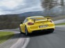 2015 Porsche Cayman GT4 d