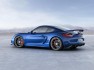 2015 Porsche Cayman GT4 g