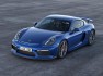 2015 Porsche Cayman GT4 j