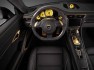 Porsche 991 GTR Carbon Edition Topcar 19