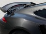Porsche 991 GTR Carbon Edition Topcar 34