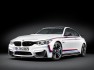 2016 BMW M4 coupe M Performance 2