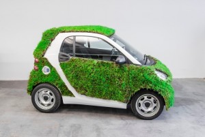 green skin smart 2016