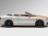 bentley-continental-gt-with-sparkle-car