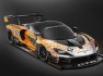 mclaren-senna-gtr-2