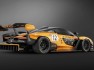 mclaren-senna-gtr-4