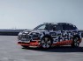 2019-audi-e-tron-12