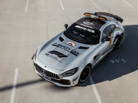 safet_car-F1_Mercedes-AMG GT R-1