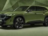 2023-bmw-xm-individual-special-paint-13
