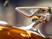 bentley-honey-harvest-1