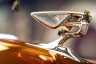 bentley-honey-harvest-1