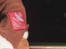 bentley-bears-6